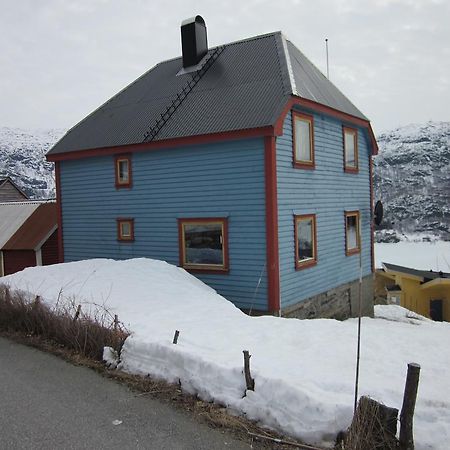 The Blue House, Roldal Villa Buitenkant foto